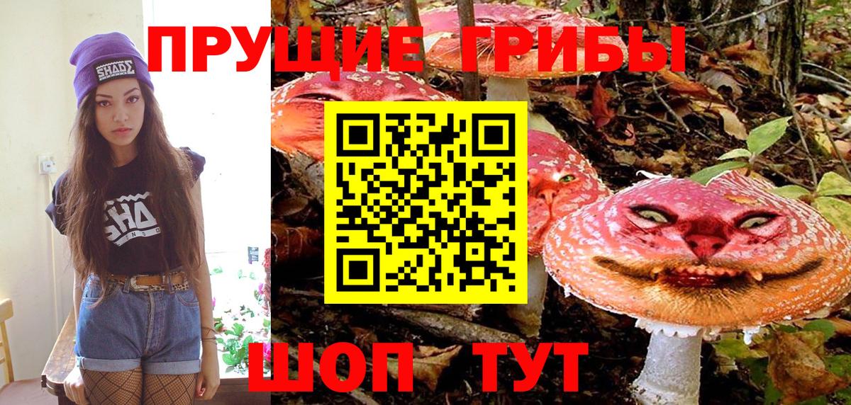 Псилоцибиновые грибы ЛСД  Вход с VPN  Усть-Лабинск 