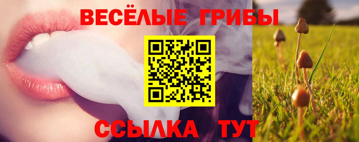 Галлюциногенные грибы MAGIC MUSHROOMS Усть-Лабинск